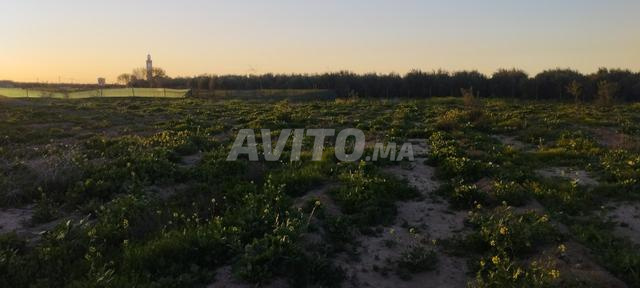 بقعة أرضية للبيع - 2