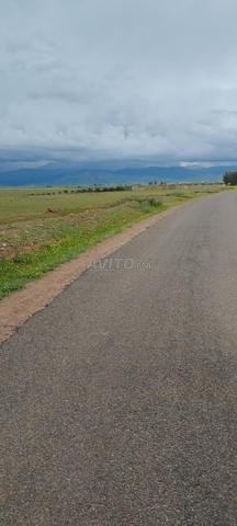 أرض ملكية طريق اوريكة - 2