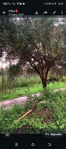 Marrakech Route Ourika Jemaa Agmat - 2