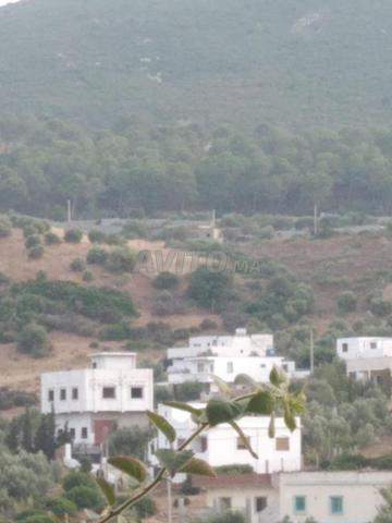 Terrain de 1000m2 bien situé à Zinat - 2