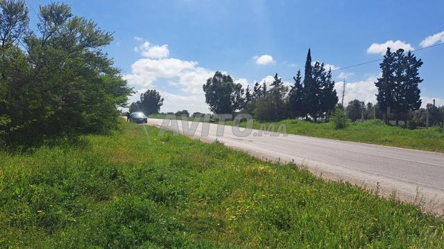 أرض 12181 م2 معبد بن سليمان