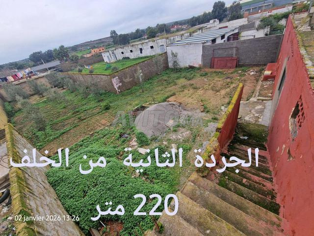 Offre de maison à vendre Douar Es Sandala Ksar El Kebir