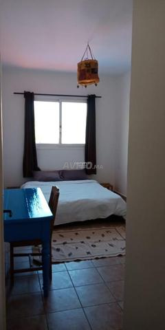 اللؤلؤة الزرقاء - 2