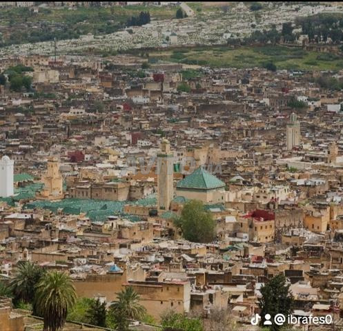 Appartement à louer pour les familles - 2