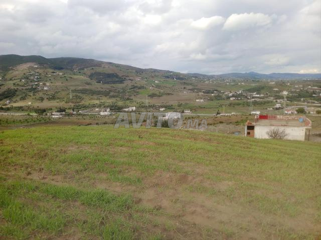 نواحي تطوان طريق طنجة - 2