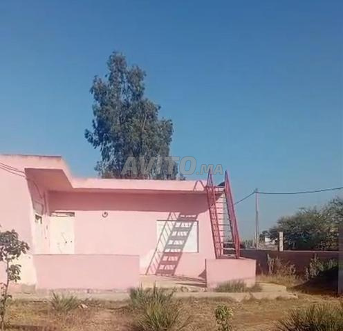 Petite ferme à vendre - 2