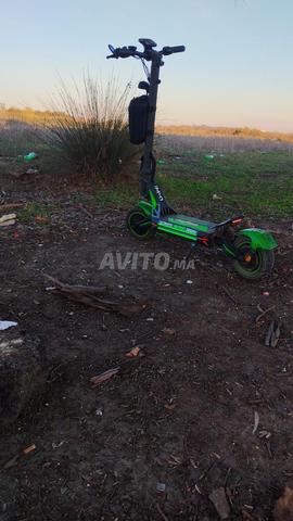 M41 Tang double moteur - 2