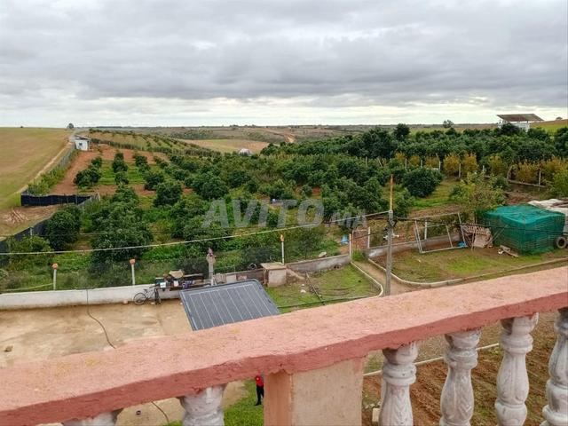 مزرعة ممتازة وقريبة