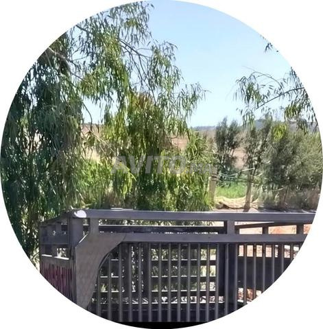 ريدال ميتشي - 2