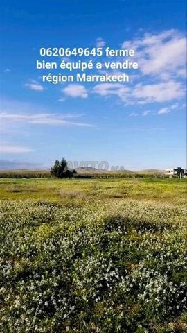 Ferme à vendre Titre Foncier équipée - 2