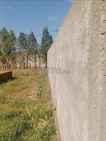 أرض مسجلة للبيع - 2