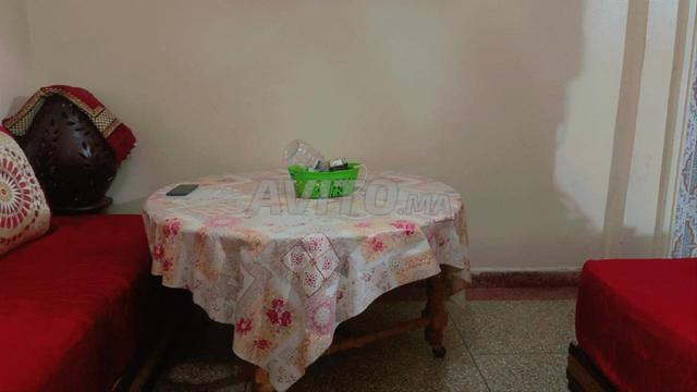 Sarout à vendre - 2