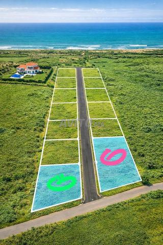 هكتار مغروس بالأشجار للبيع بسيدي رحال على الشاطئ