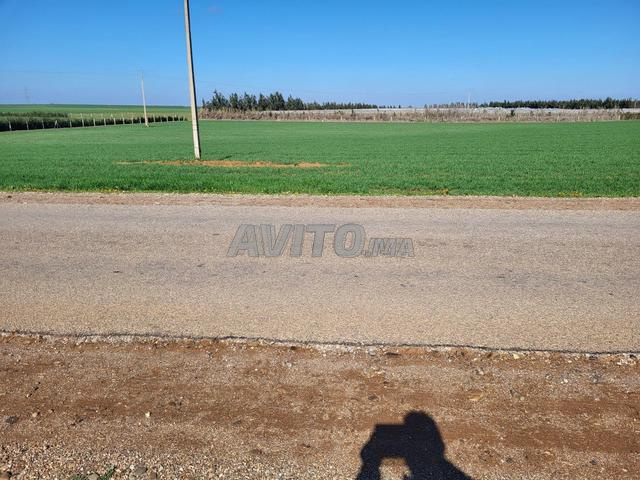 Vente terrain titré, vue mer – Sidi Rahal - 2