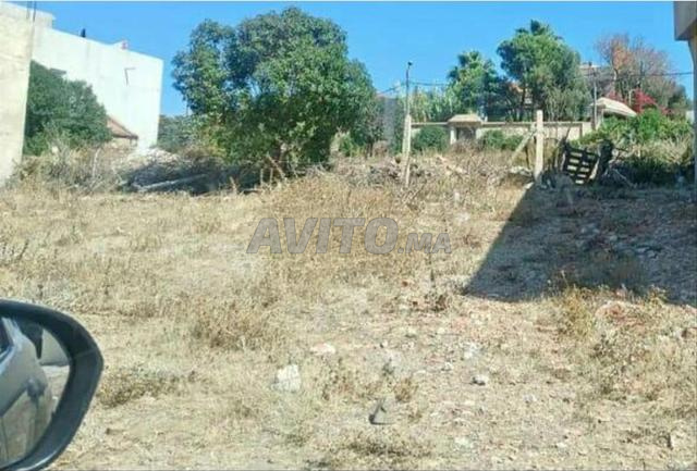 بقعة نادرة في شراقة