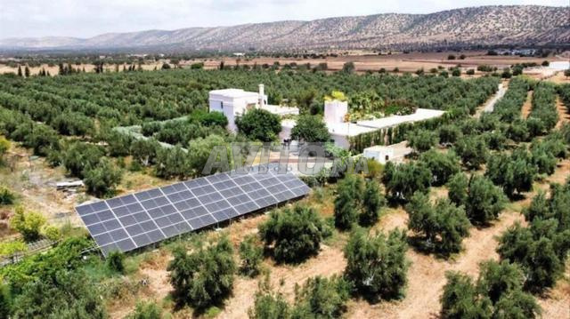 Ferme équipée à vendre, un hectare à Boucharen près d'Arcila