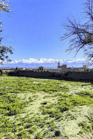 Terrain titre 3700 m² à vendre route agafay