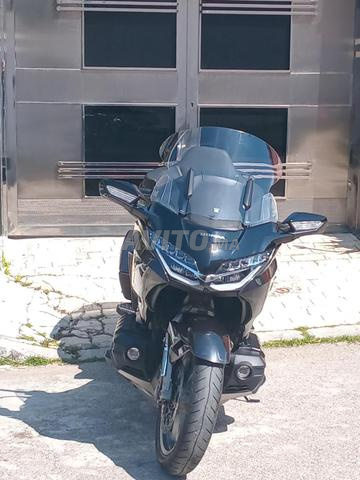 جولد وينج 1800