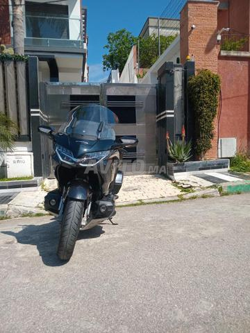 جولد وينج 1800 - 2