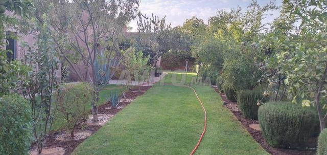 بستاني حارس يبحث عن عمل - 2