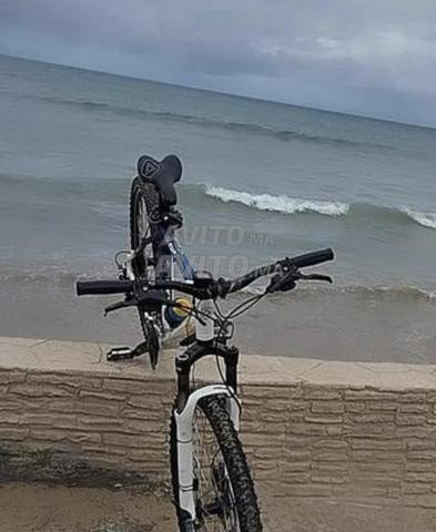 روك رايدر LTD - 2