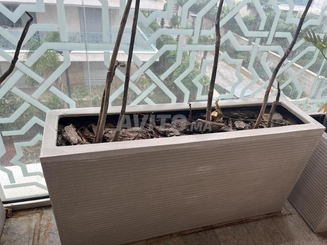 bac à fleurs / plantes moderne gris - 2