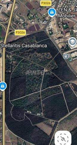 Terrain zone villa D4s ville verte bouskora