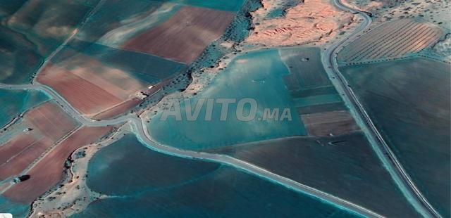 Terrain agricole 2 hectares et quart - 2