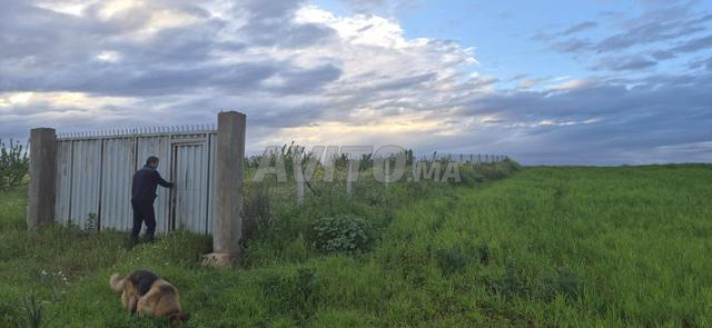 🌿 Terrain agricole à vendre – 1,5 hectare 🌿 - 2