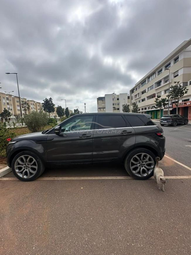 Évoque dynamique plus 