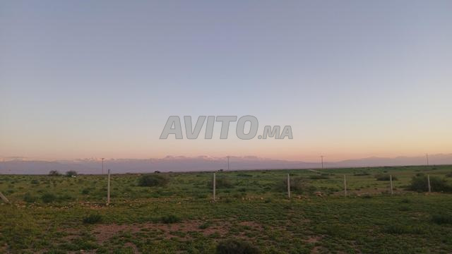 هكتار واحد مسجل - 2