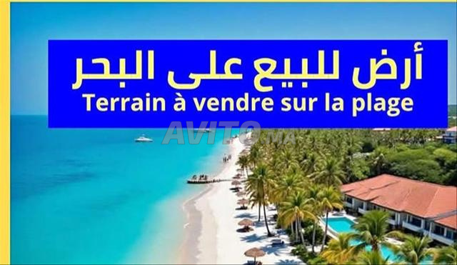 Terrain agricole à vendre près de la mer, constructible