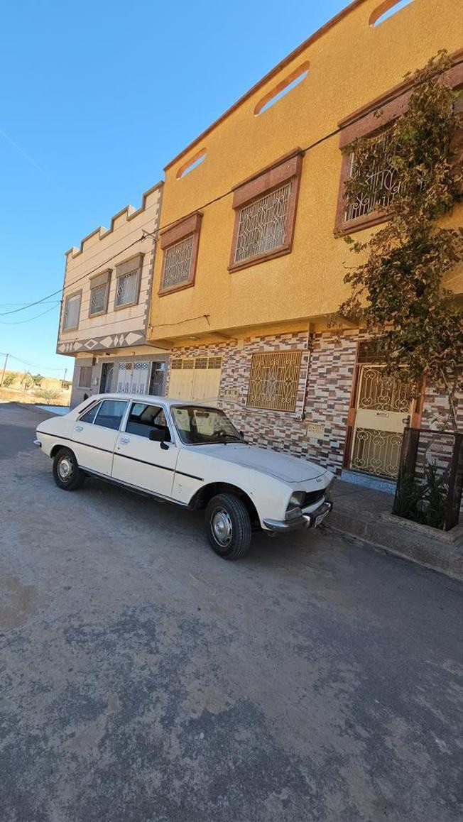 peugeot 504 collection
