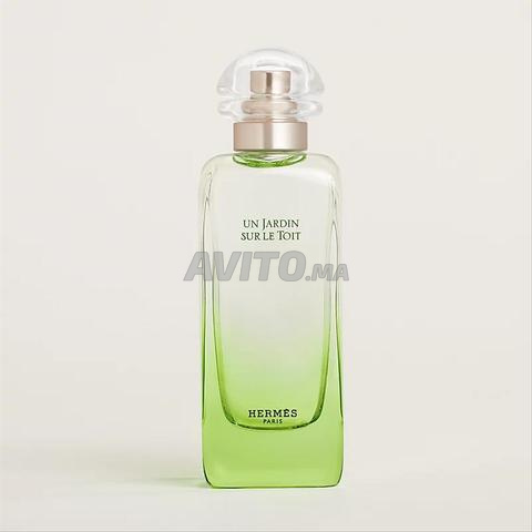 حديقة على السطح هيرميس