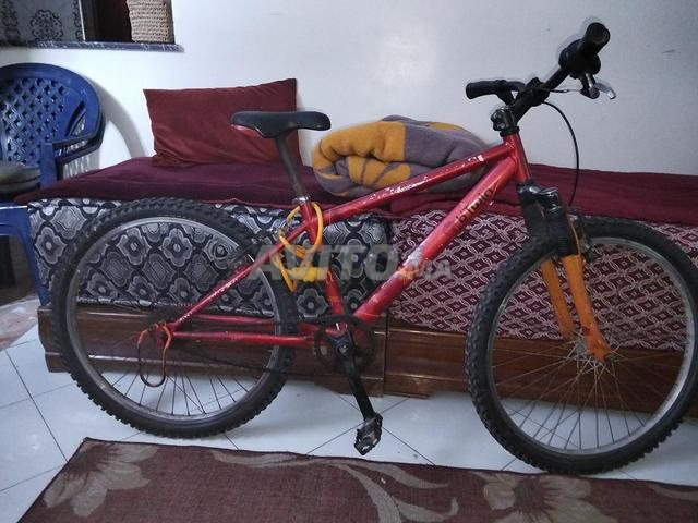 Casablanca participe - 2