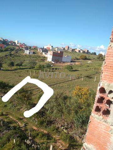 طنجة عين دالية صغيرة - 2