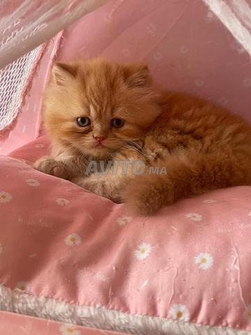 Agadir. Ait Melloul - 2