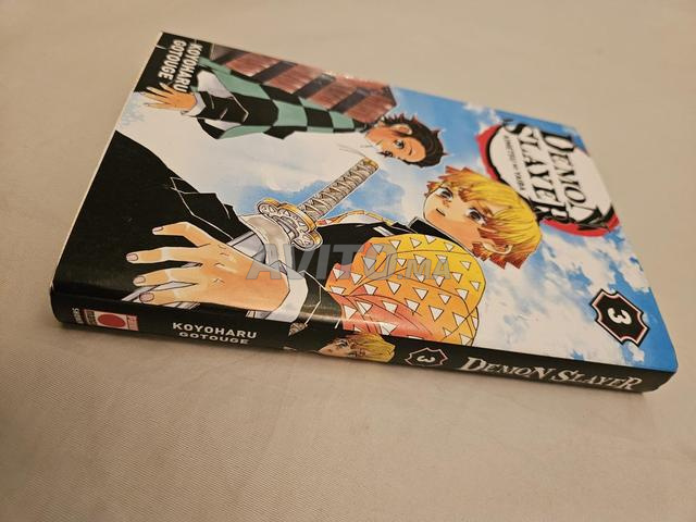 📚 مانجا (قاتل الشياطين) المجلد (3) – حالة جيدة