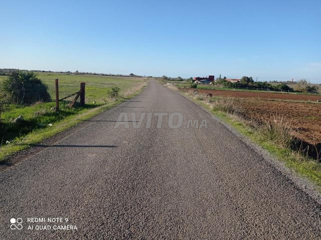 هكتار للبيع على الطريق المعبدة بالقرب من تثير