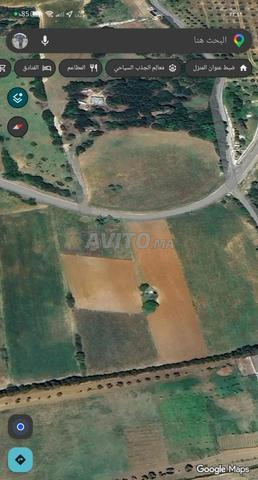 Terrain de 1354 m² avec Al-Mafaha - 2