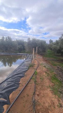 مزرعة للبيع - 2