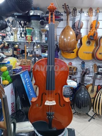 Violon avec ses accessoires - 2