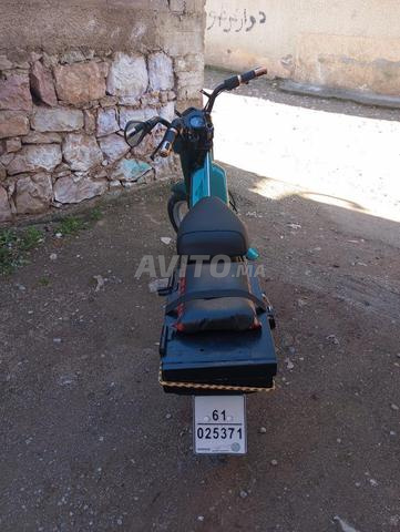 فوكس جيدة جداً