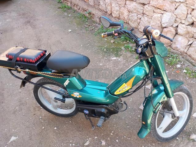 فوكس جيدة جداً - 2