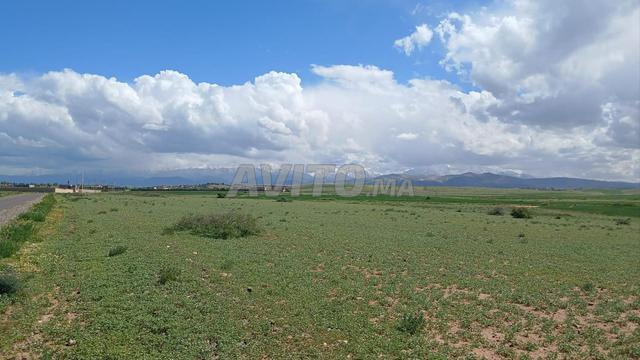 أرض في ملكية - 2