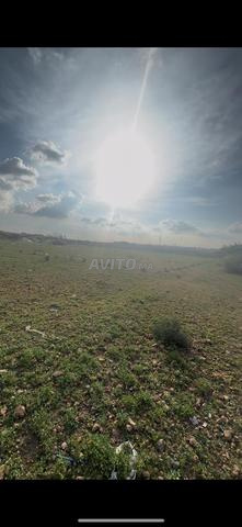 Terrain titré à vendre