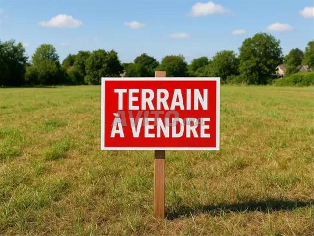 Terrain à vendre 2 hectares