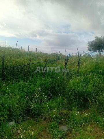 Maison près de Kabbab - 2