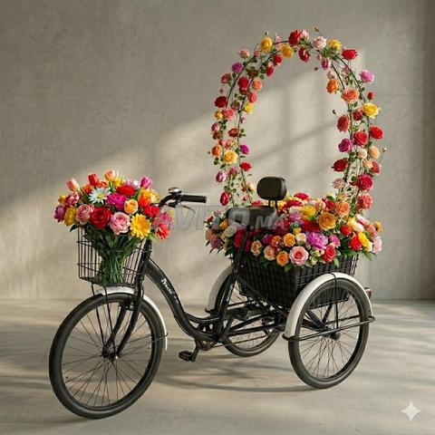 Tricycles - 2