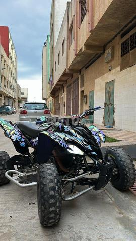 YAMAHA RAPTOR 350 YFM